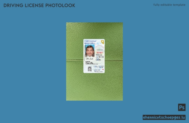 USA Nevada: Beispielvorschau für die Fotoansicht des Führerscheins für unter 21-Jährige